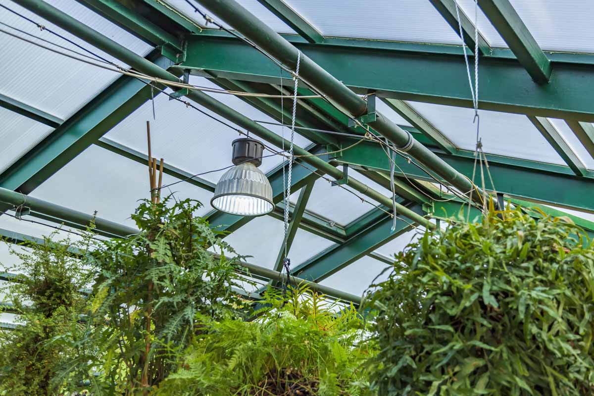 Steel greenhouse frame 